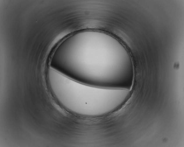 X0000101471026200807071214