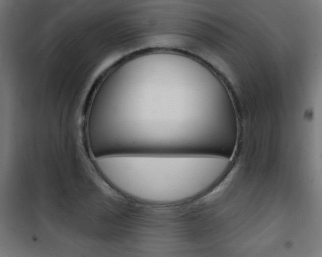 X0000101471029200807071214