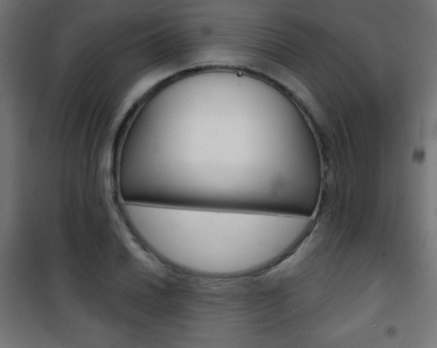 X0000101471030200807071214