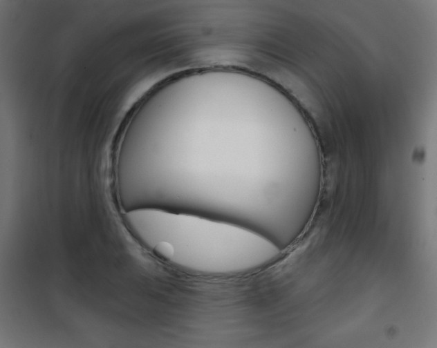 X0000101471031200807071214