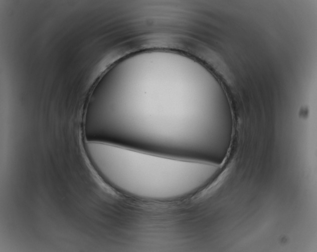 X0000101471033200807071214