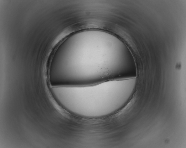 X0000101471034200807071214