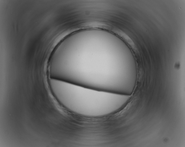 X0000101471039200807071214