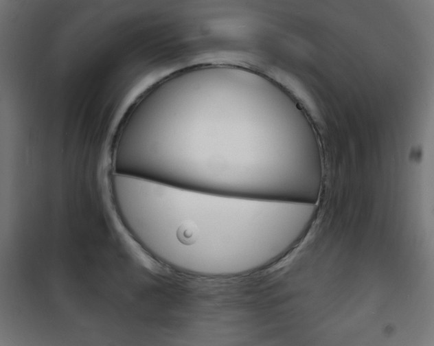 X0000101471040200807071214