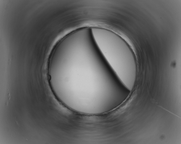 X0000101471045200807071214