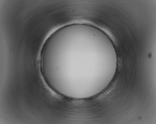 X0000101471046200807071214
