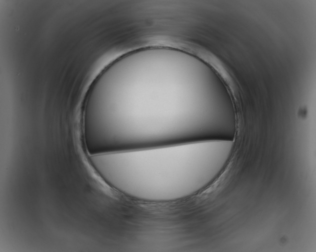 X0000101471048200807071214
