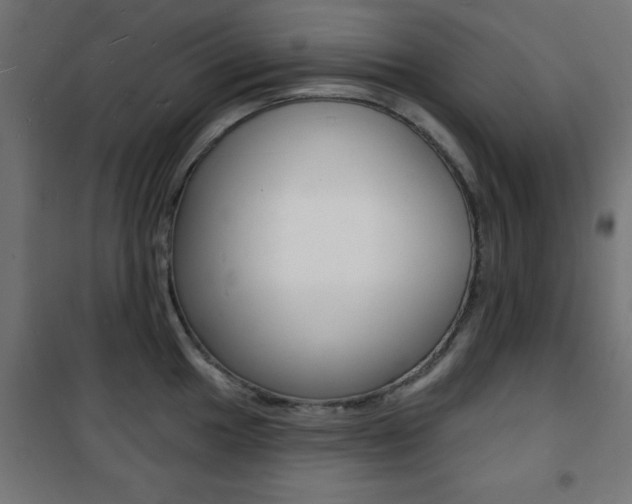 X0000101471049200807071214