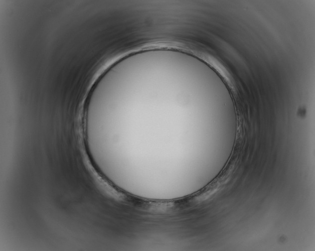 X0000101471055200807071214