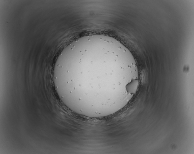X0000101471059200807071214