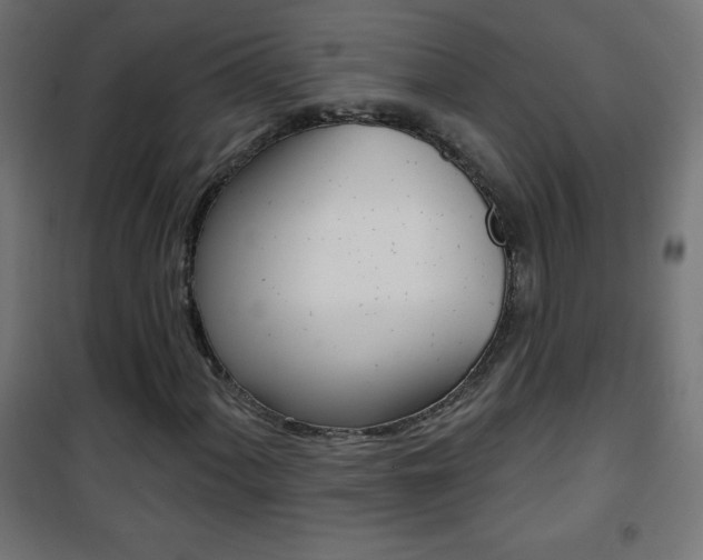 X0000101471060200807071214