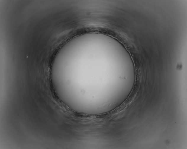 X0000101471061200807071214