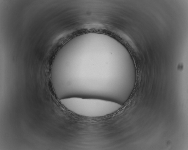 X0000101471063200807071214