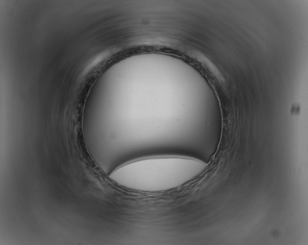 X0000101471064200807071214
