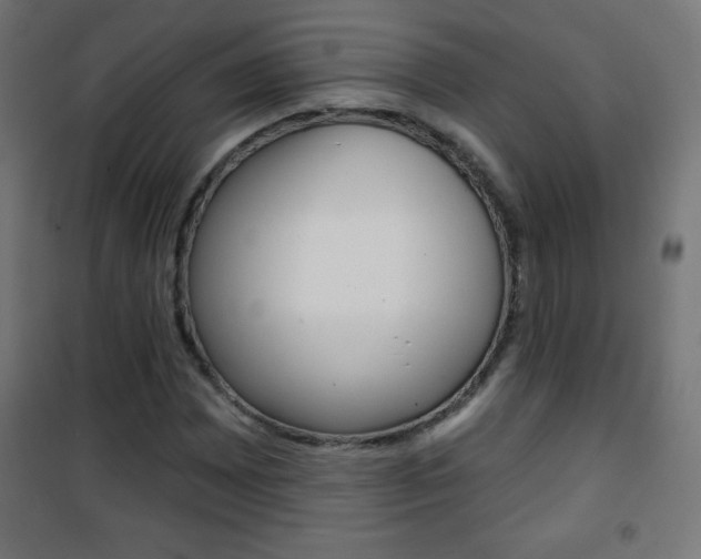 X0000101471065200807071214