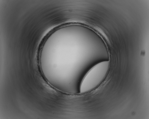 X0000101471068200807071214