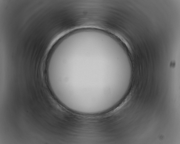 X0000101471069200807071214