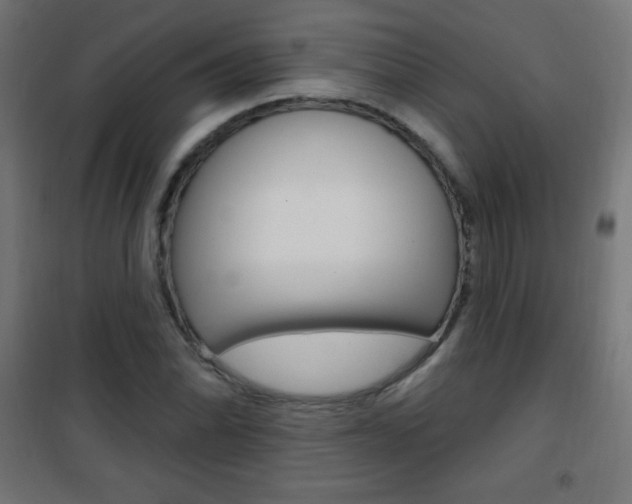 X0000101471070200807071214