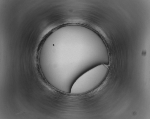 X0000101471071200807071213
