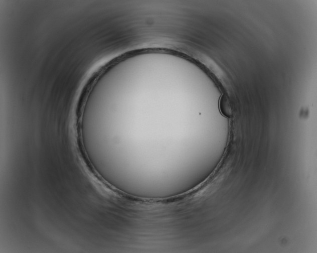 X0000101471072200807071213
