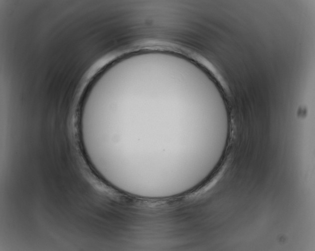 X0000101471074200807071213