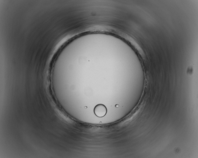 X0000101471075200807071213