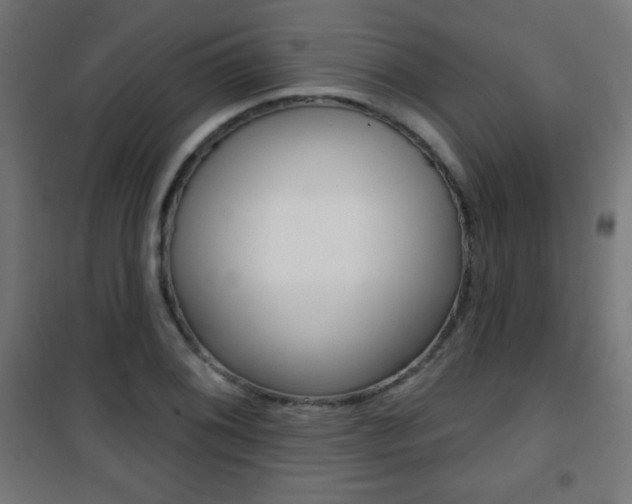 X0000101471076200807071213
