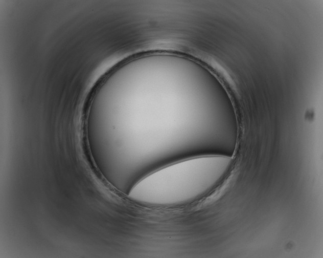 X0000101471077200807071213