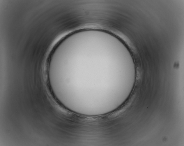 X0000101471078200807071213