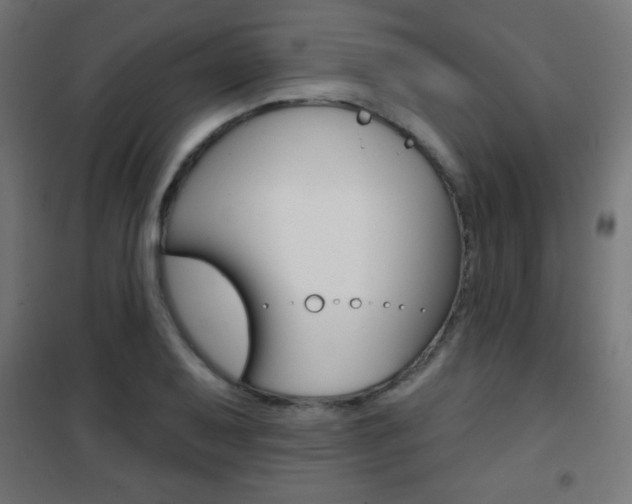 X0000101471079200807071213