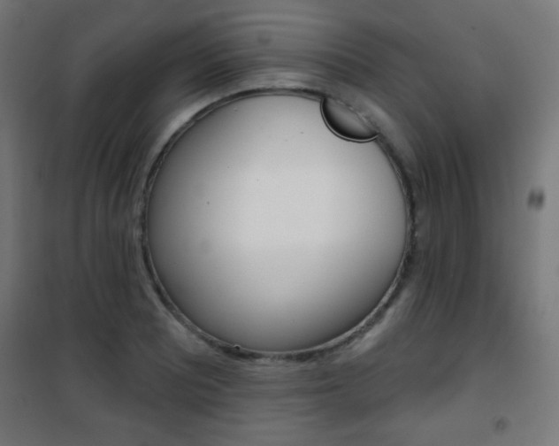 X0000101471081200807071213