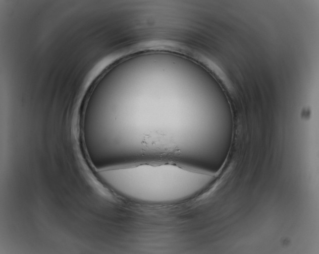 X0000101471082200807071213