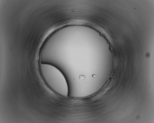 X0000101471083200807071213