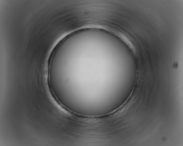 X0000101471084200807071213