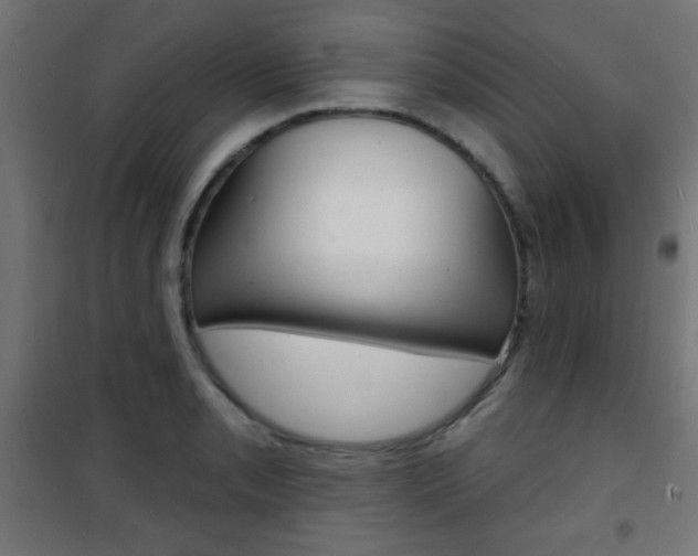X0000101471085200807071213