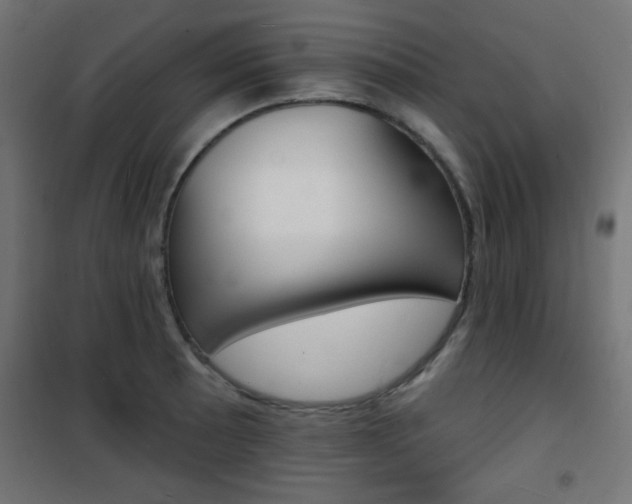 X0000101471089200807071213