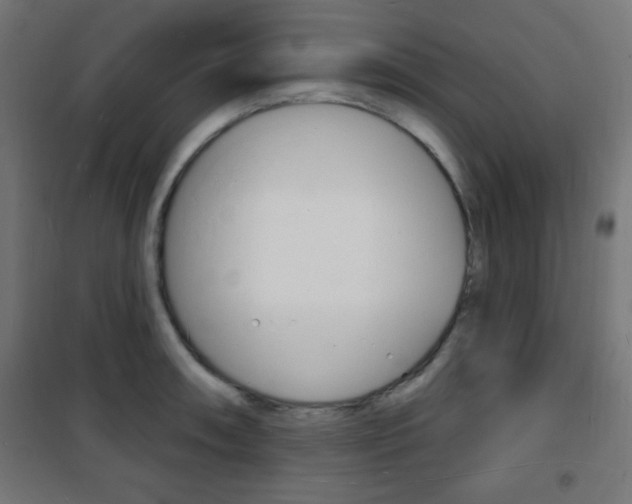X0000101471090200807071213