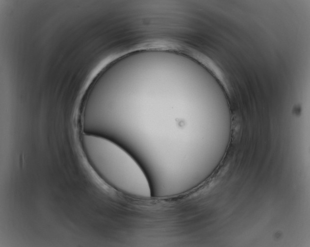 X0000101471091200807071213