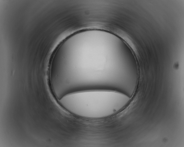X0000101471093200807071213