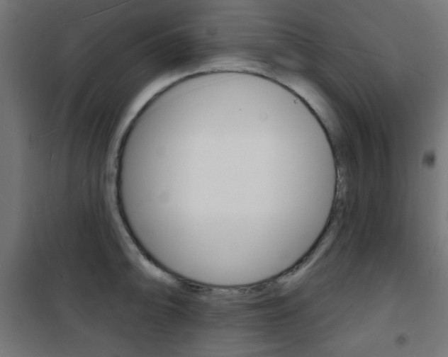 X0000101471094200807071213