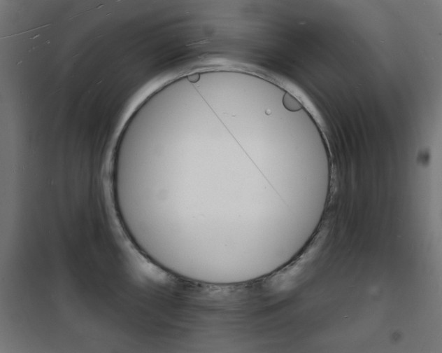 X0000101471098200807071213