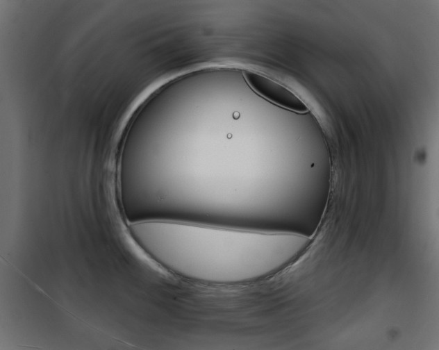 X0000101471100200807071213