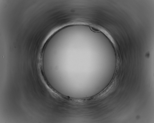 X0000101471101200807071213