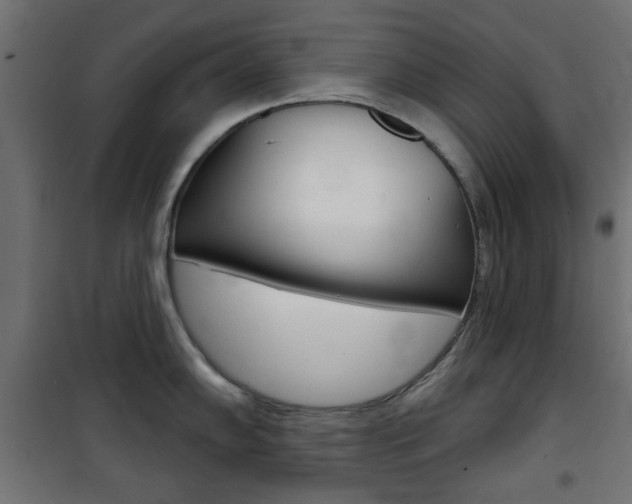X0000101471102200807071213