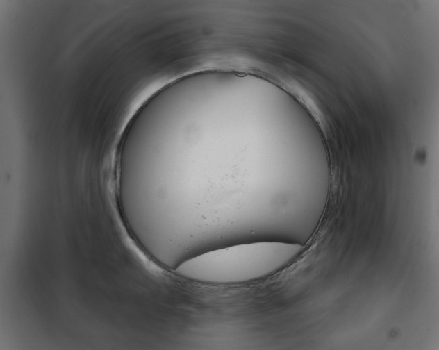 X0000101471103200807071213