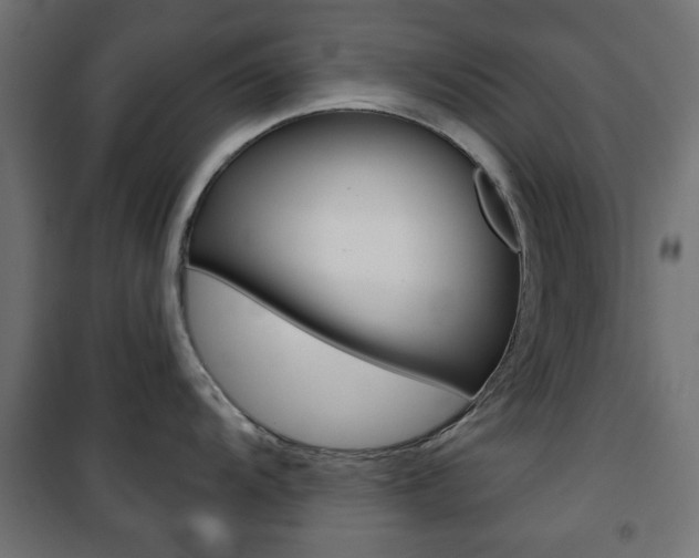 X0000101471104200807071213