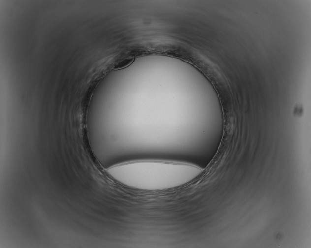 X0000101471108200807071212