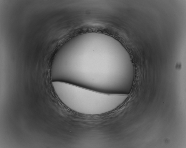X0000101471109200807071212