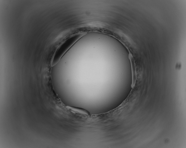 X0000101471110200807071212