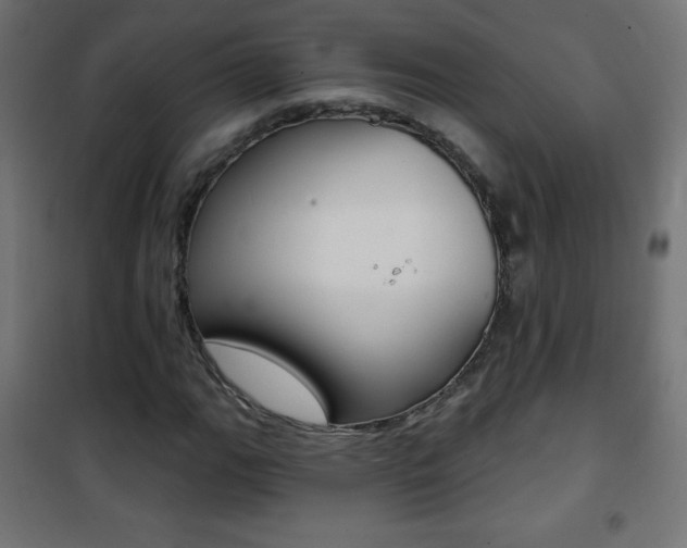 X0000101471111200807071212